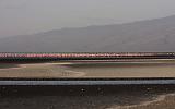 TANZANIA - Lake Natron - 032